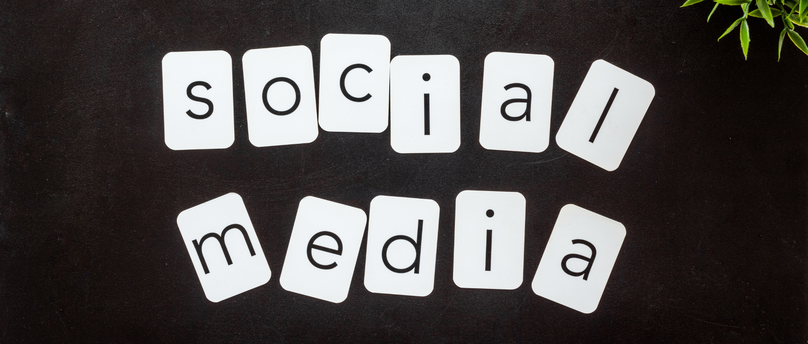 Social Media Marketing Services in Mumbai for business growth